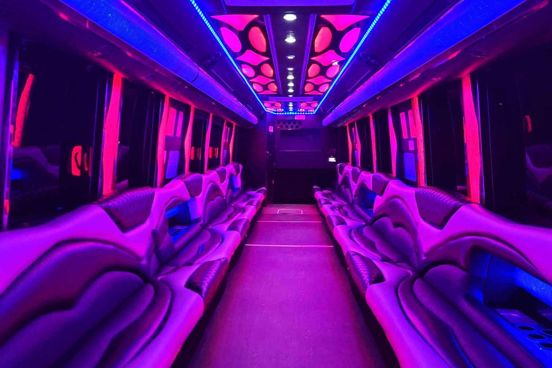 40 Passenger Party Bus exterior 2