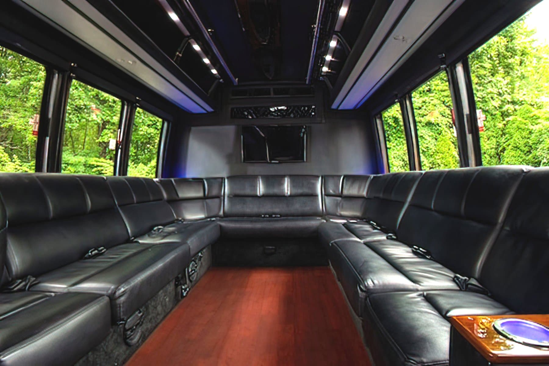 20 PASSENGER LIMO VAN - Limousine for charter