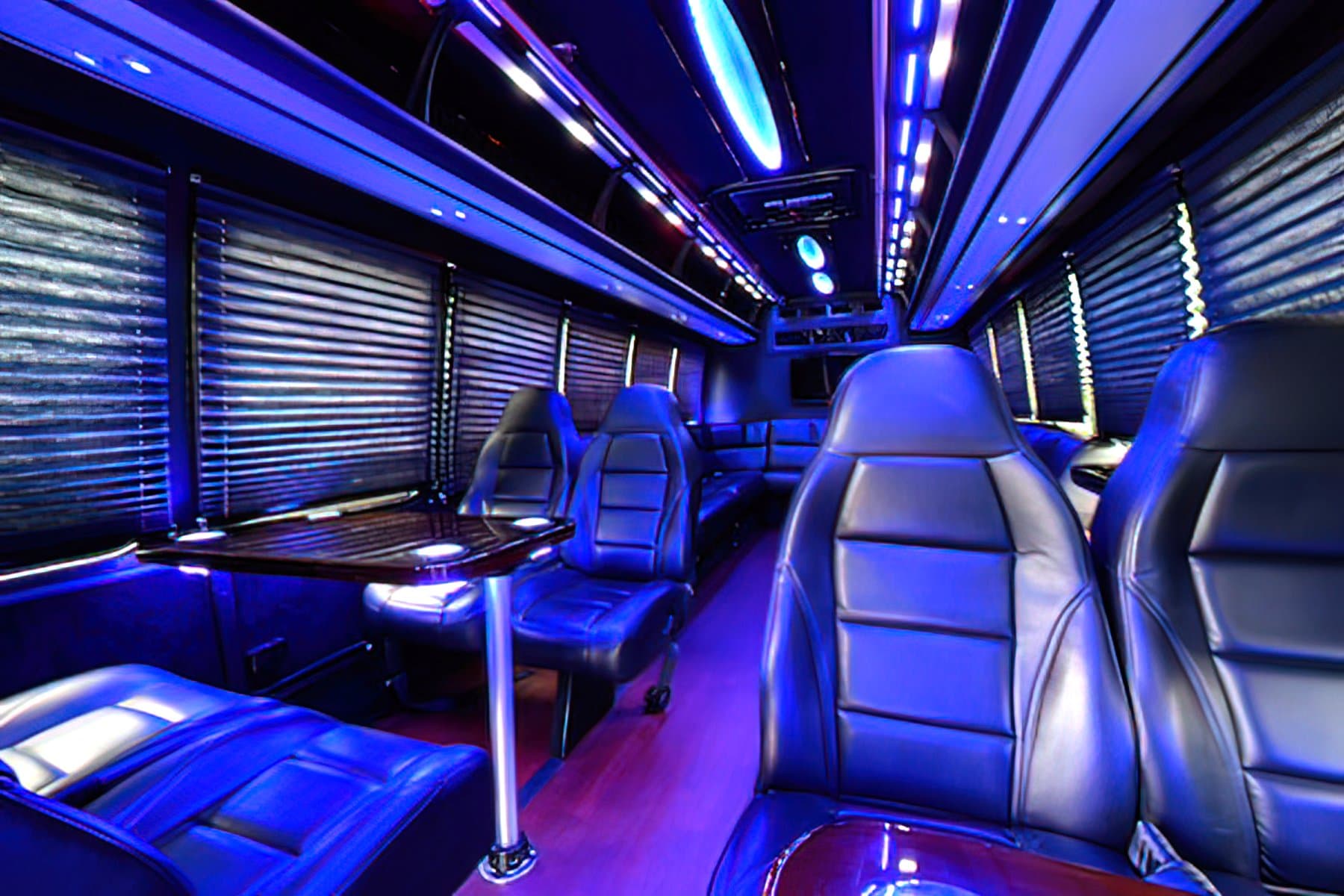 20 PASSENGER LIMO VAN exterior 3