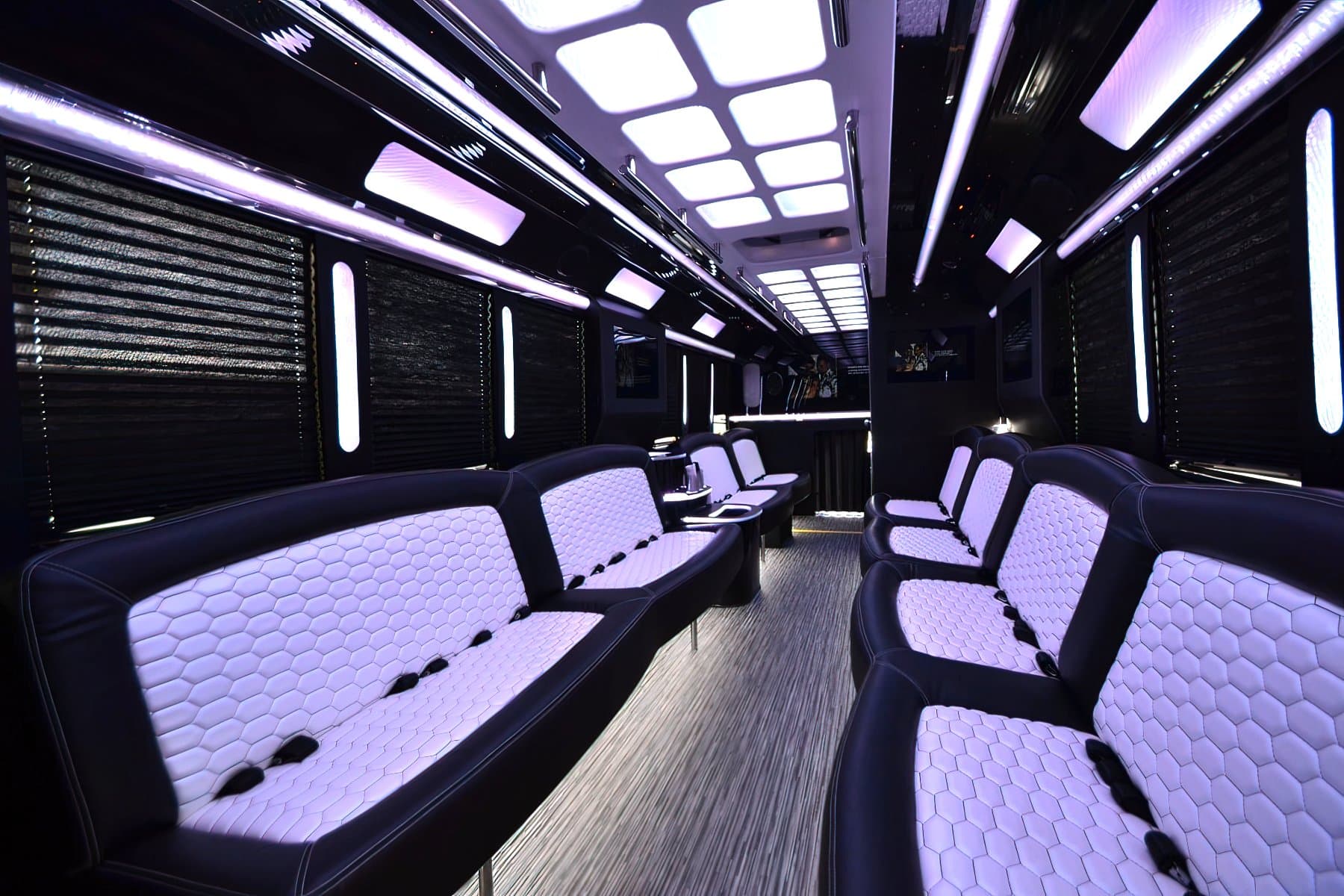 28 Passenger Party Bus exterior 2