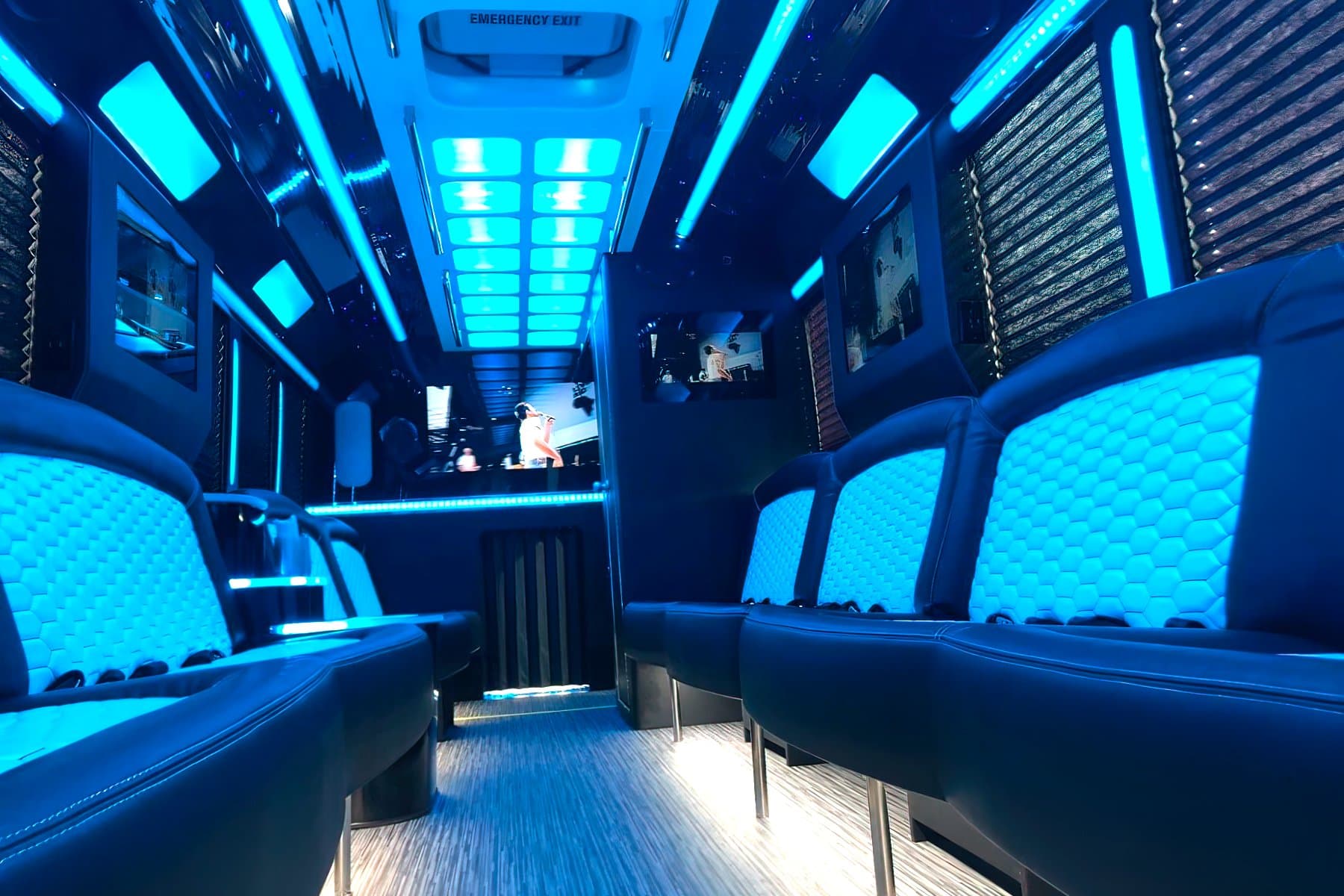 28 Passenger Party Bus exterior 6