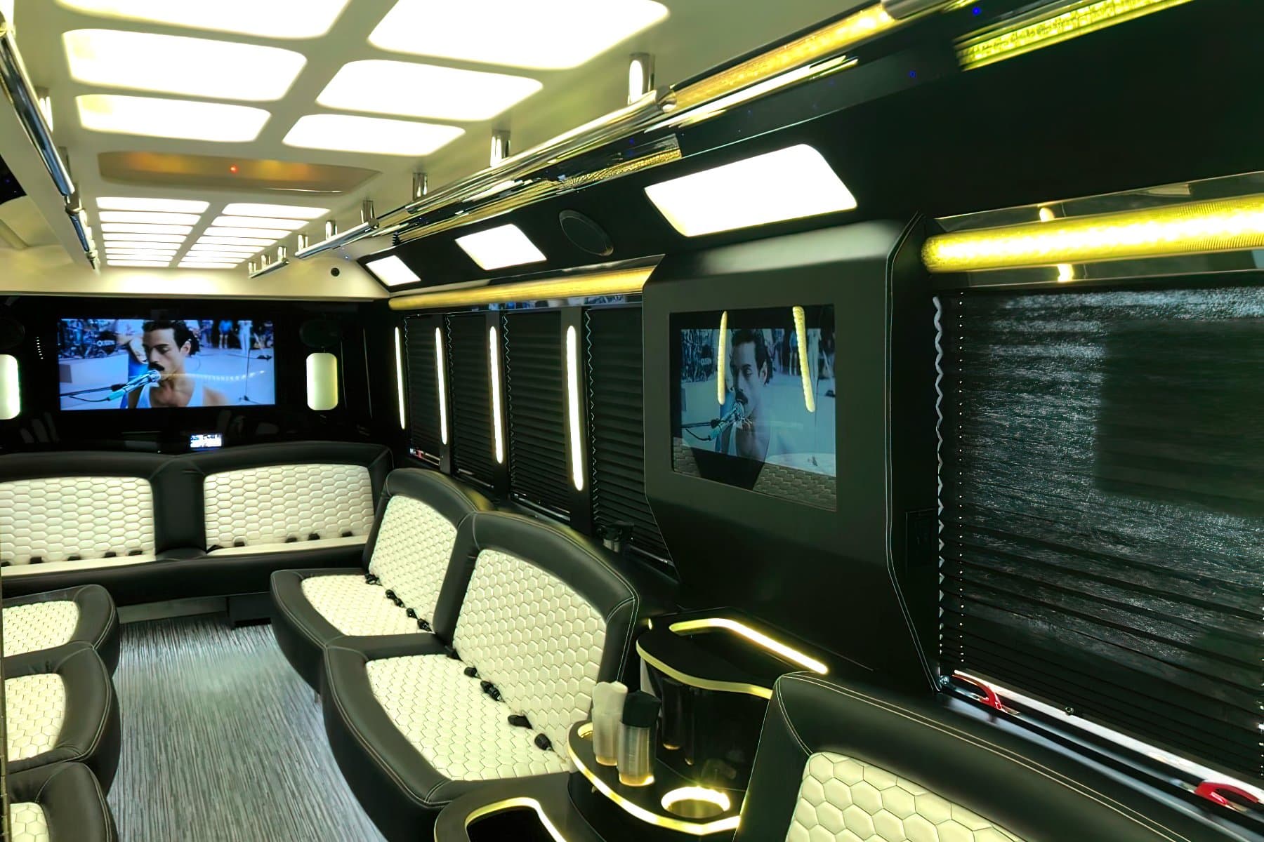 28 Passenger Party Bus exterior 7