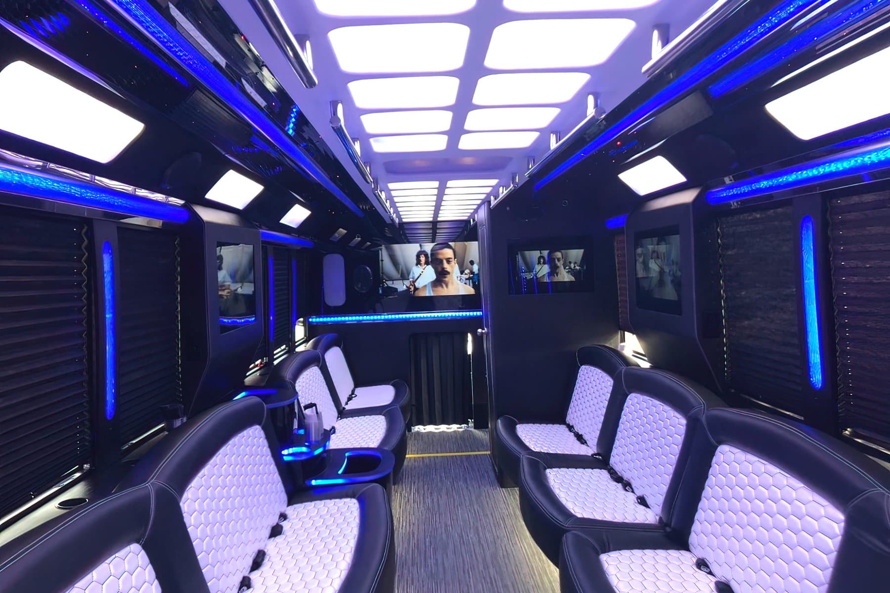 28 Passenger Party Bus exterior 9