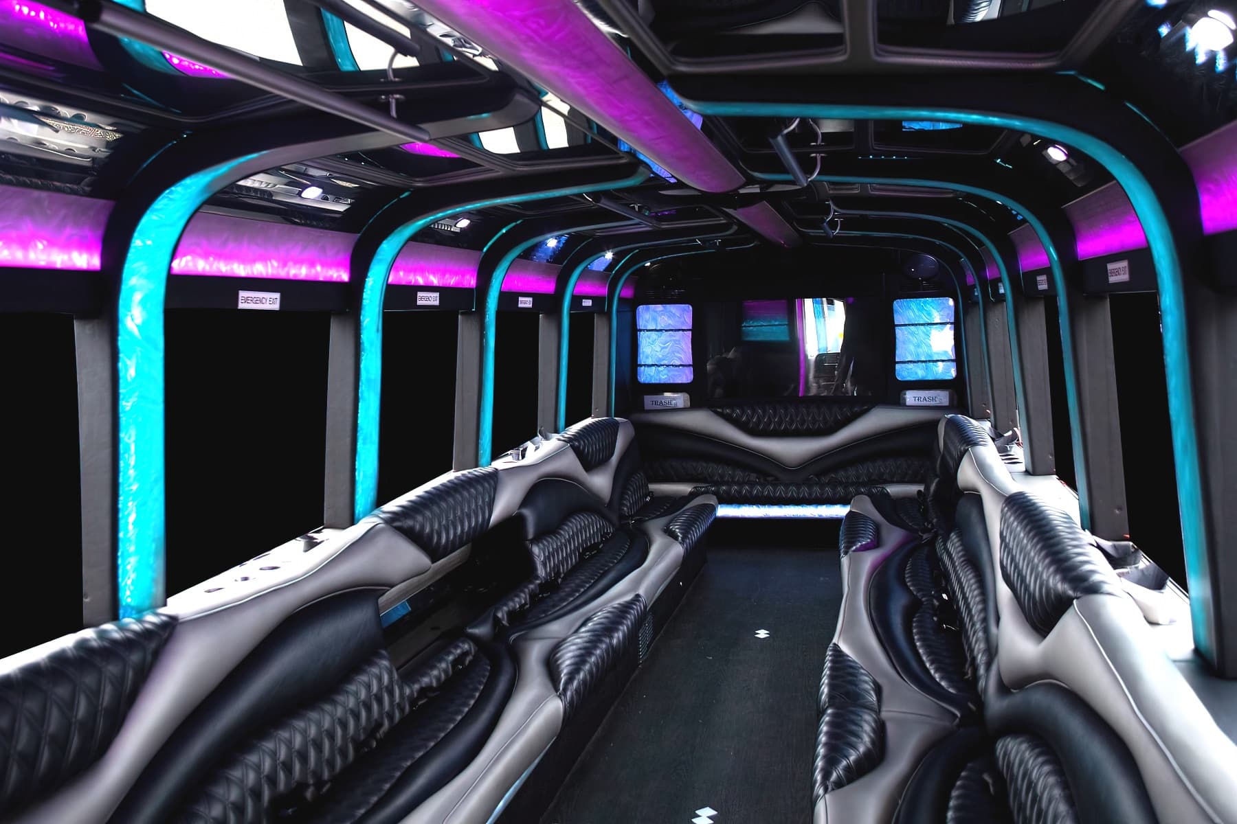 39-Passenger Party Bus - Party Bus for charter
