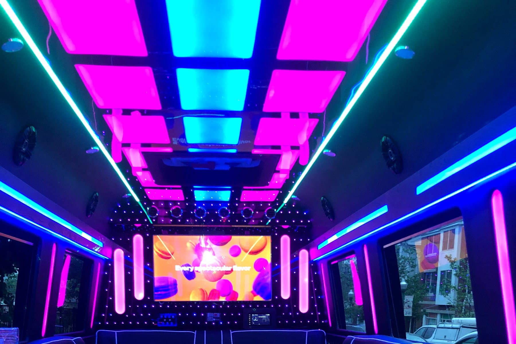 15 Passenger Sprinter Limo exterior 4