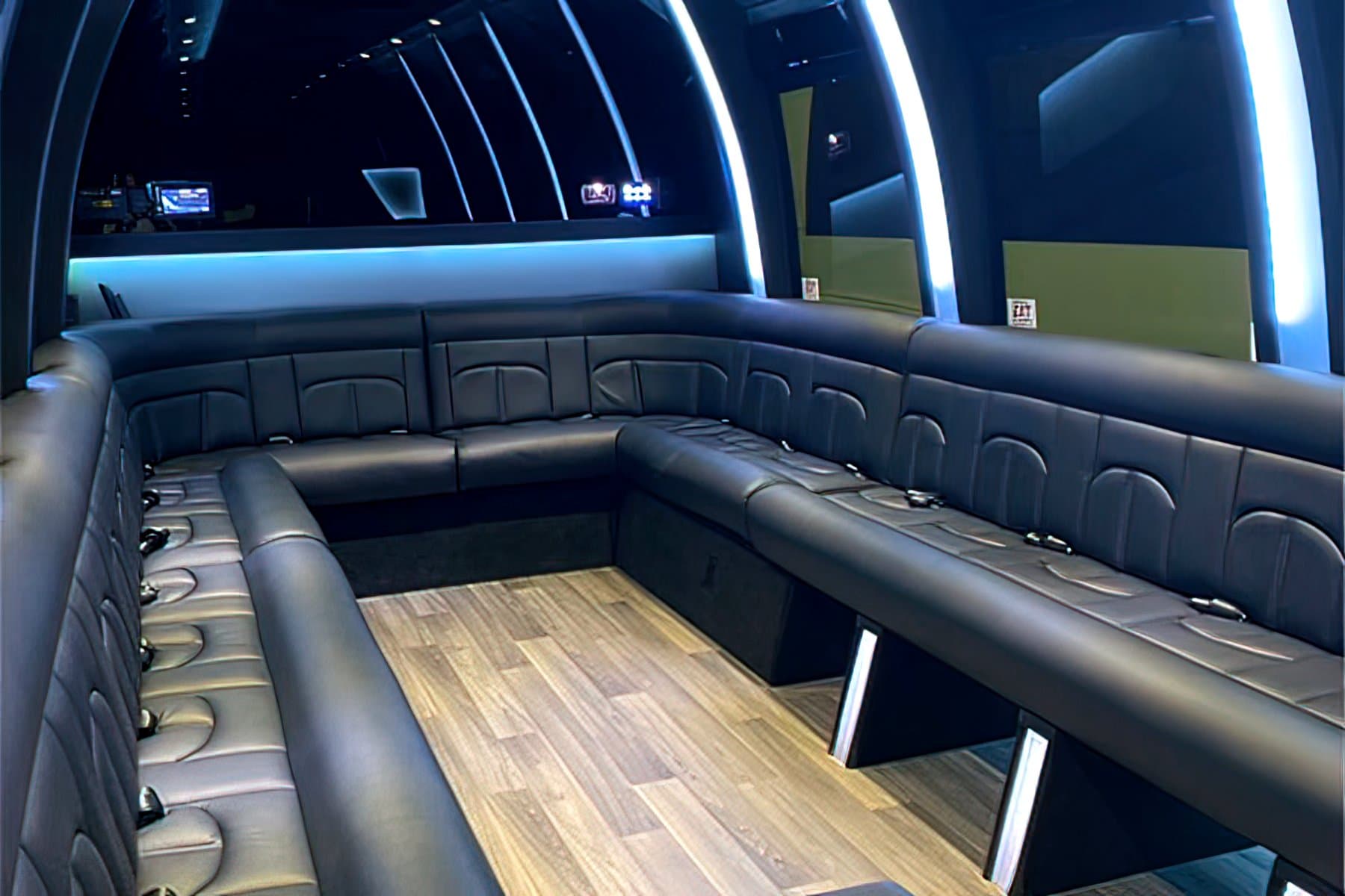 20 Passenger Party Bus - Party Bus for charter