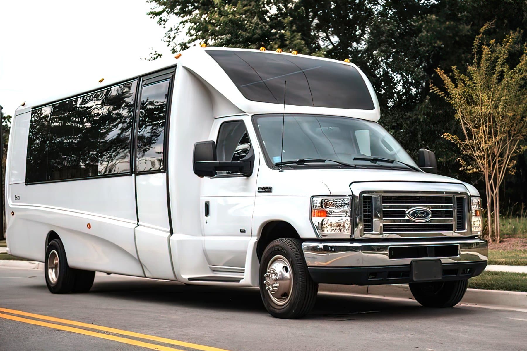 20 Passenger Party Bus exterior 2