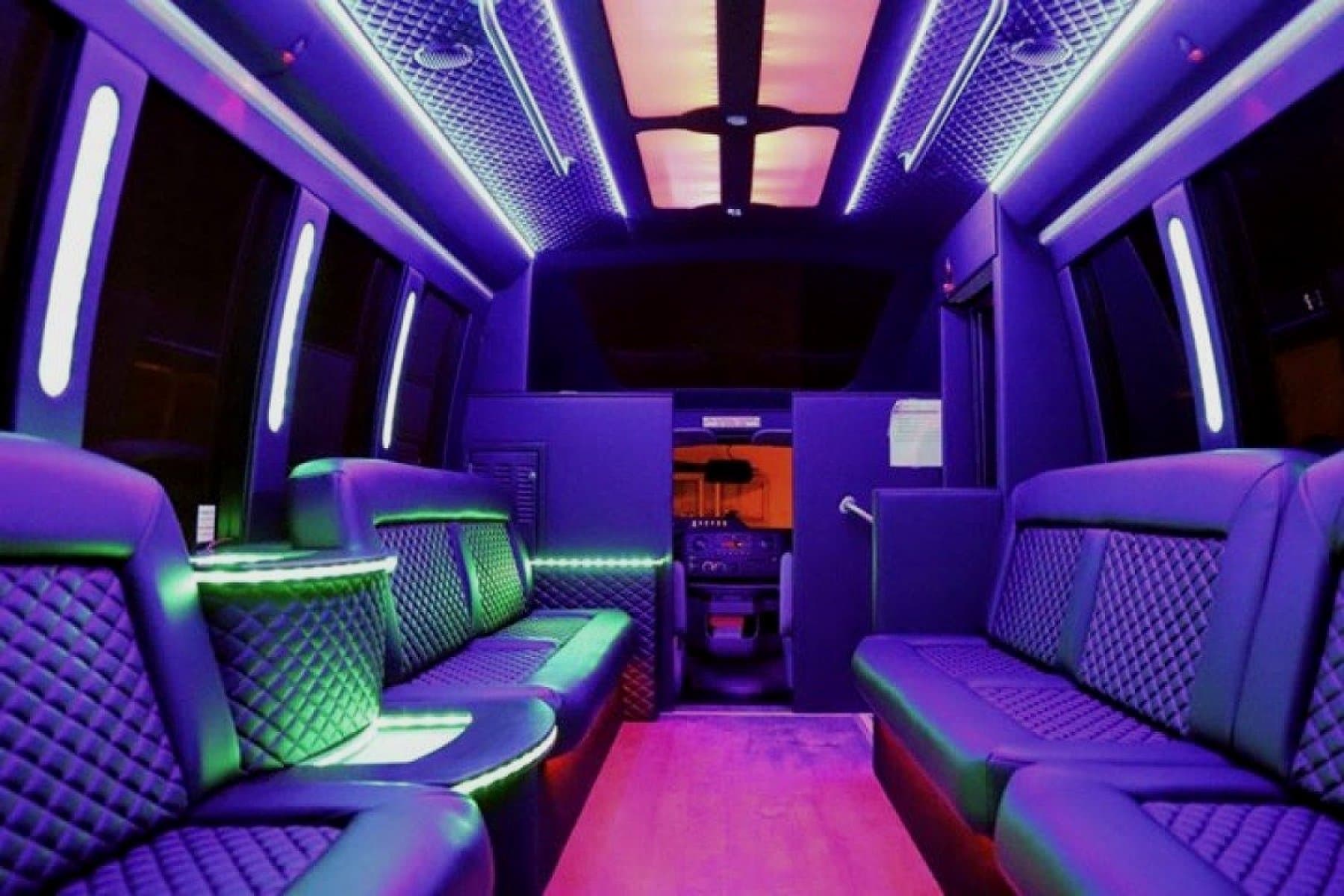 24 Passenger Party Limo Bus exterior 2