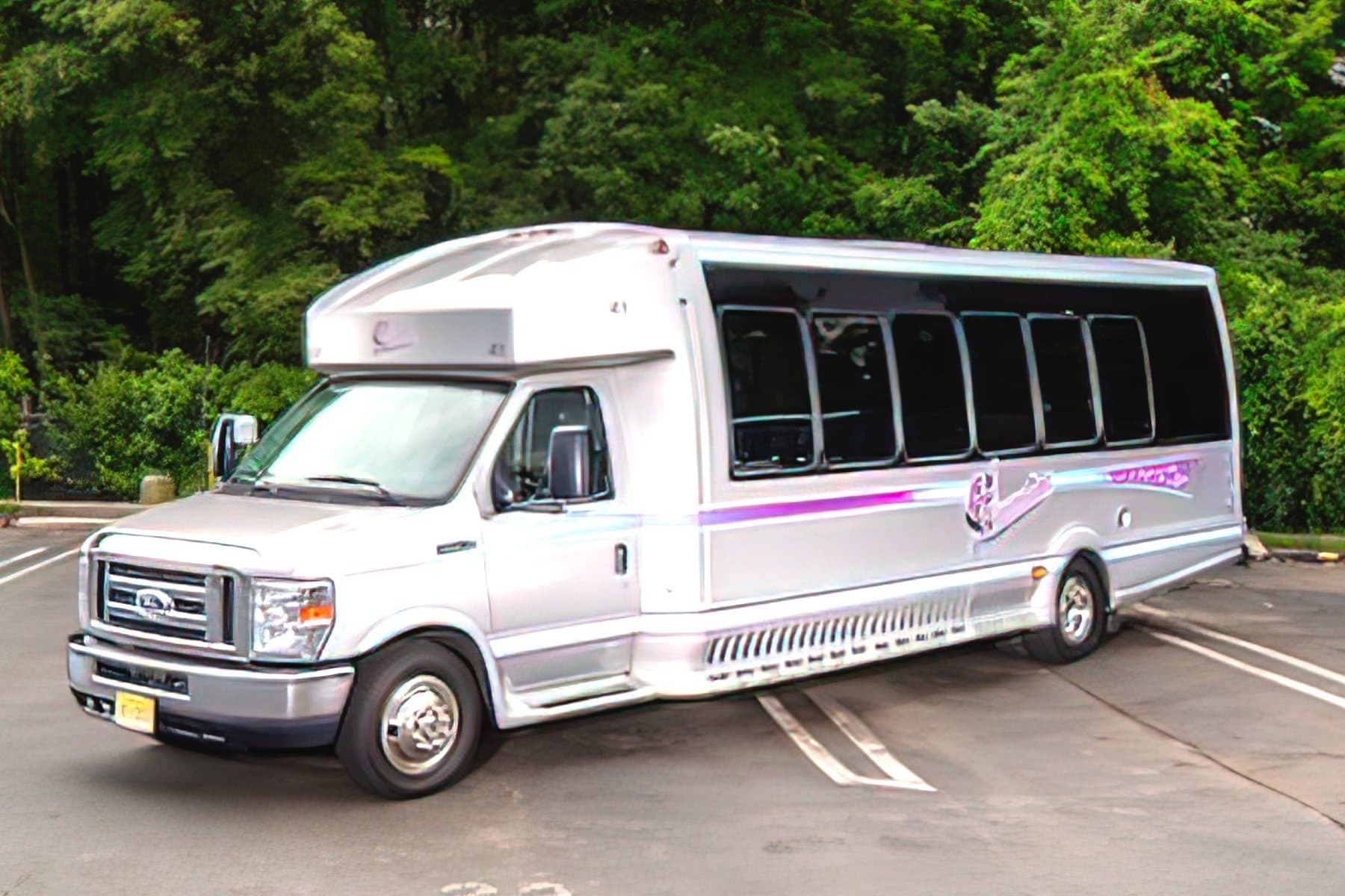 16 PASSENGER LIMO VAN exterior 6