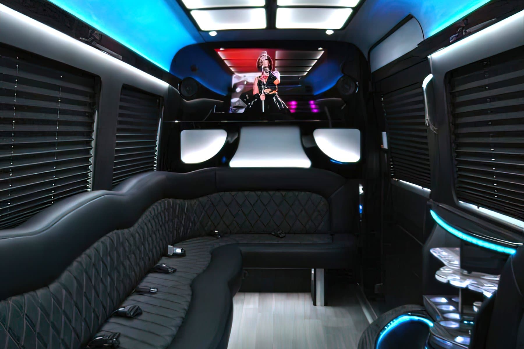 14 PAX Mercedez Benz Sprinter Party Bus exterior 4