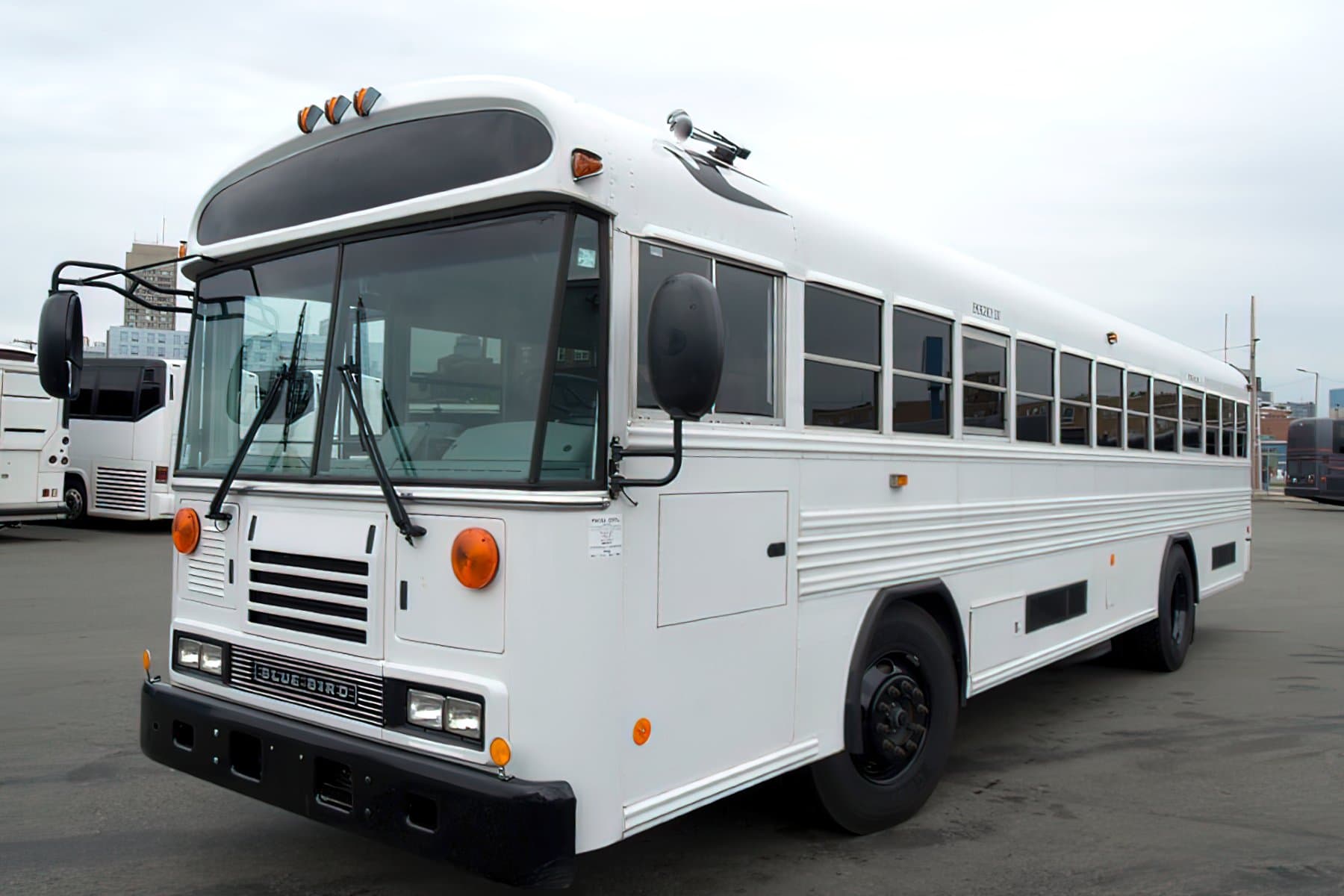 51 PAX Activity Bus - School Bus for charter