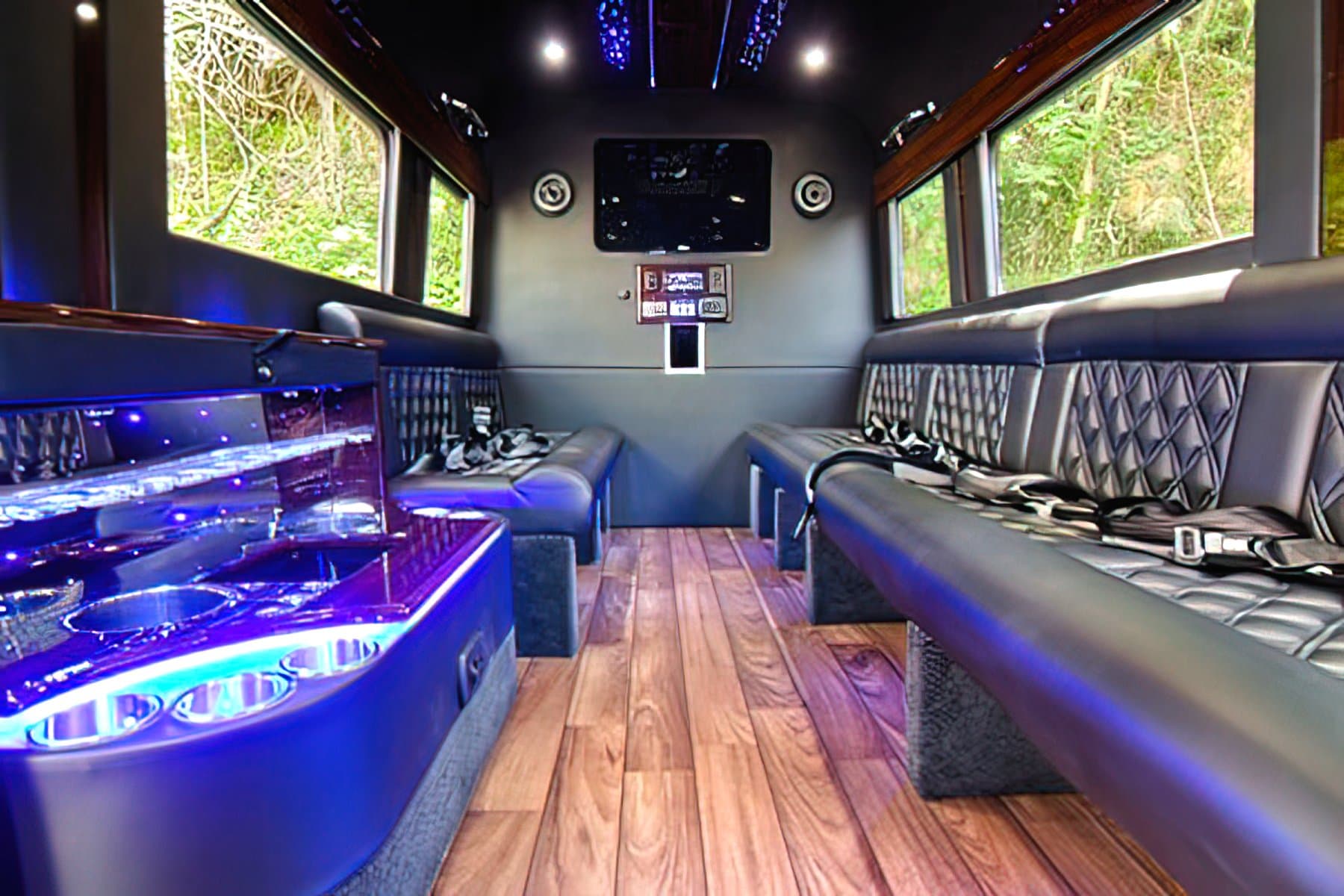 Mini Party Bus 12 PAX - Party Bus for charter