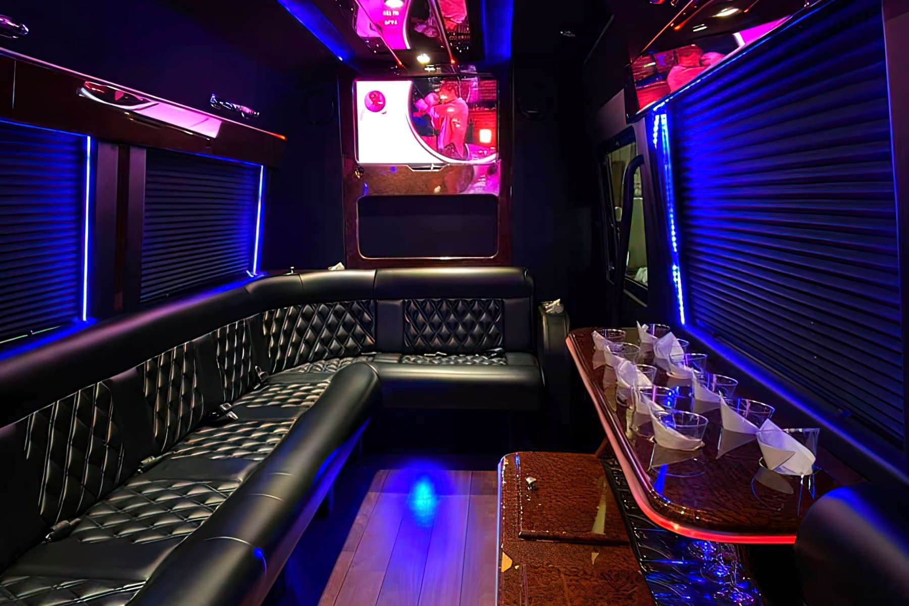 10 PAX Party Bus - Party Bus for charter