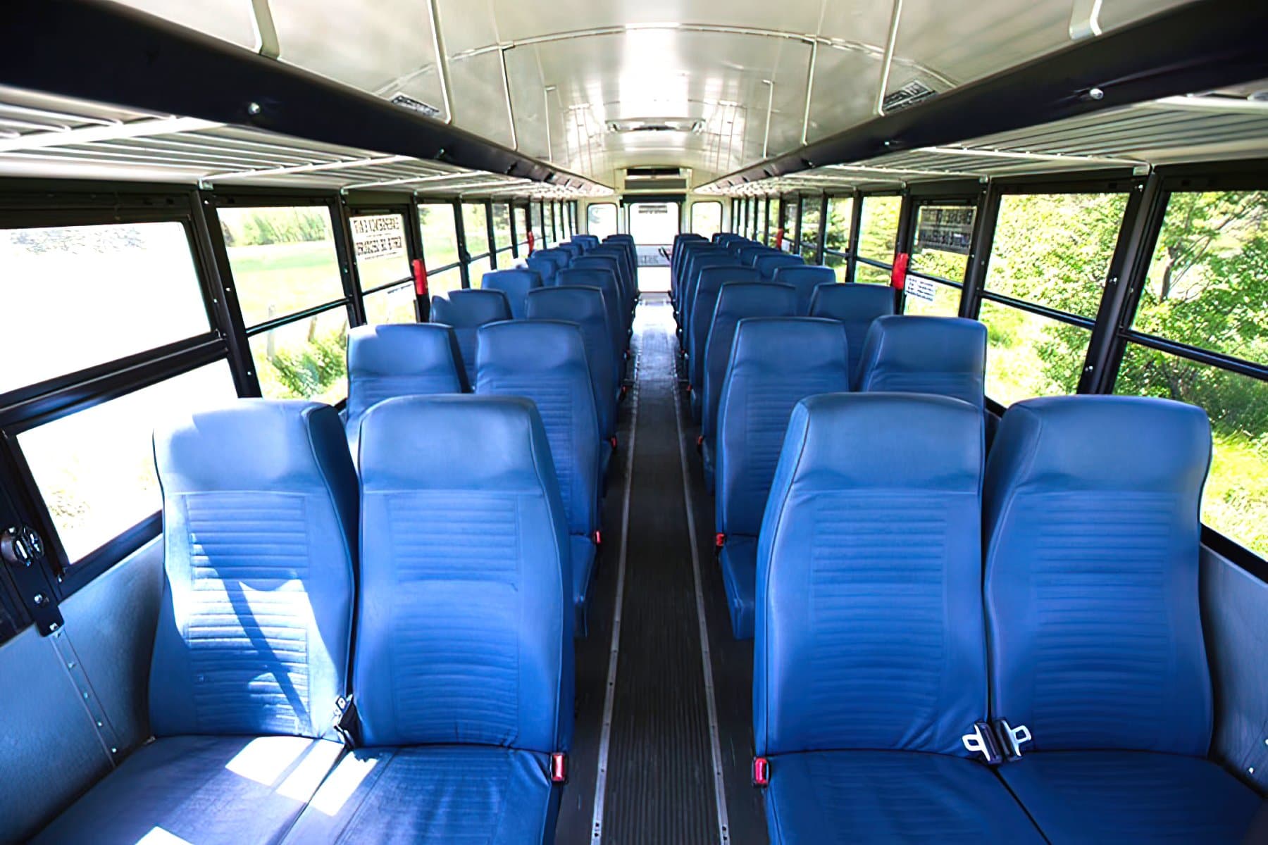 44 PAX Activity Bus exterior 2