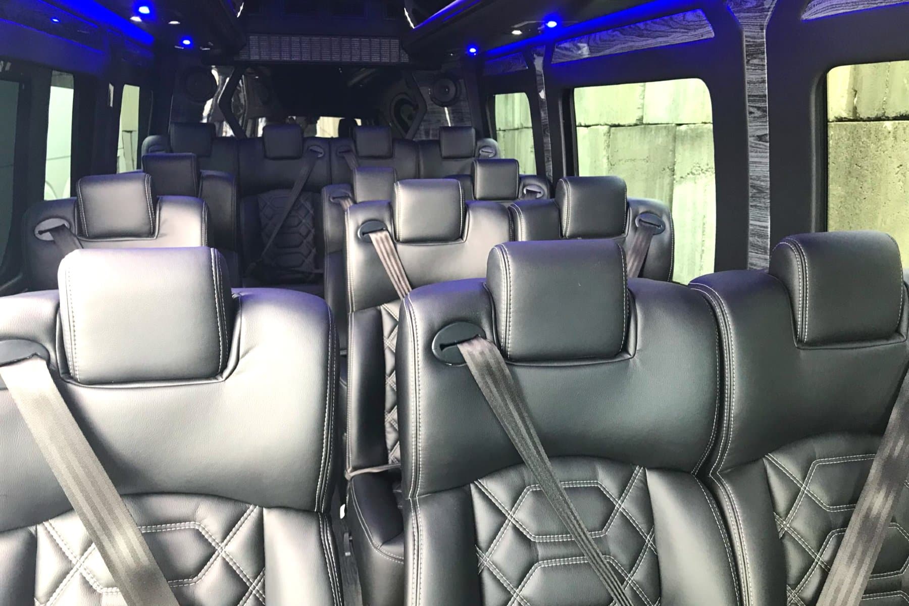 14 PAX Sprinter Van exterior 3