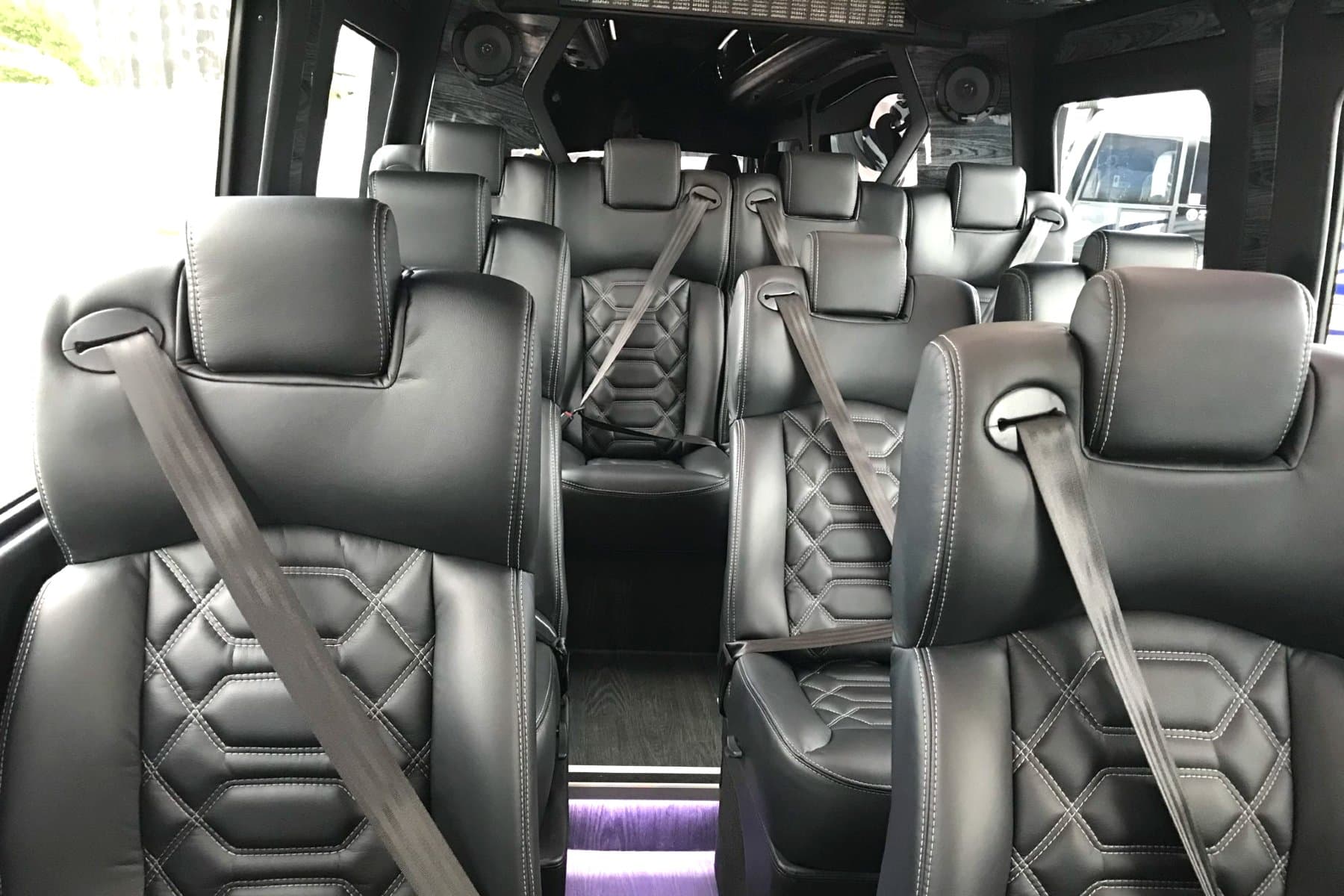 14 PAX Sprinter Van exterior 5