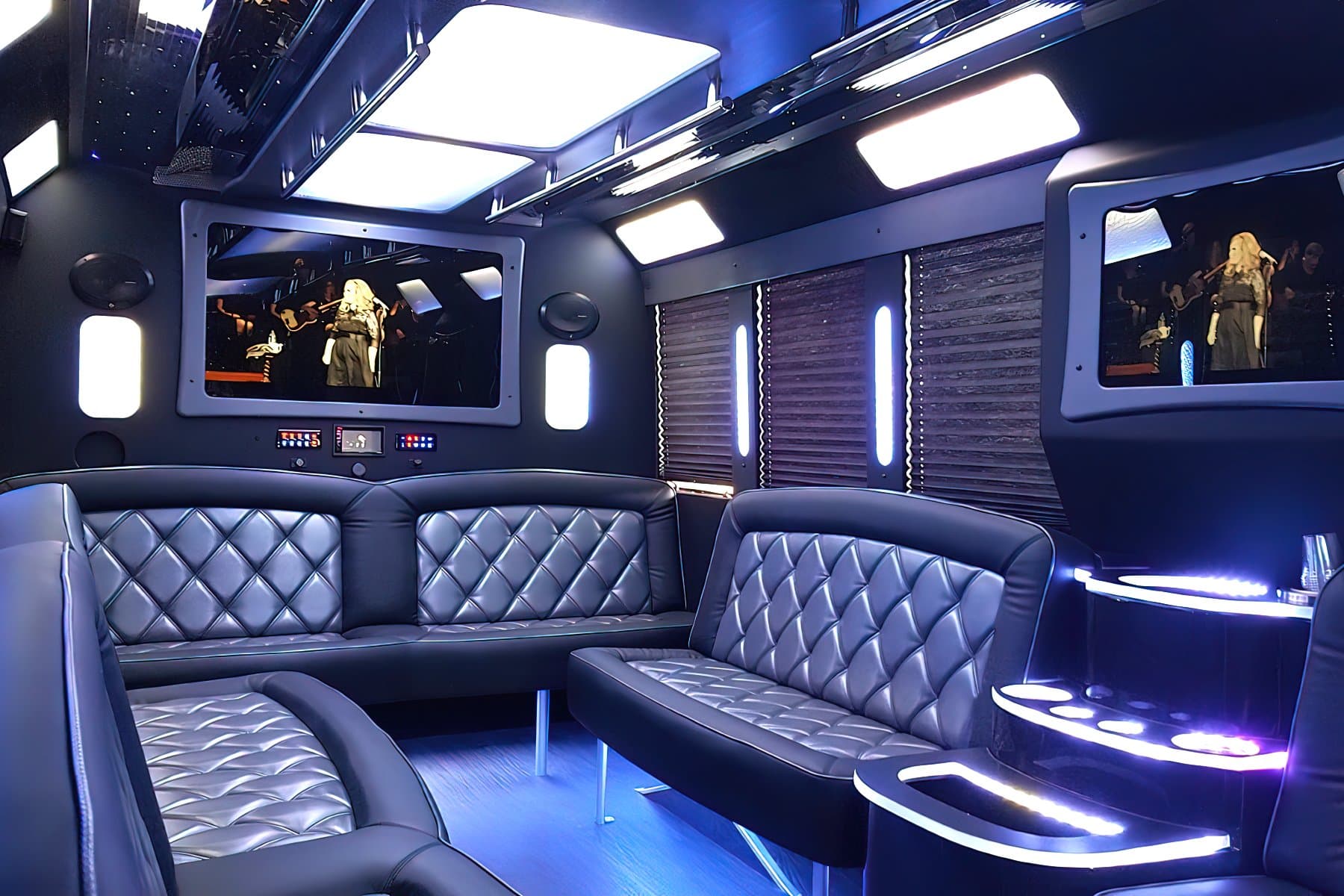 20 PAX Party Bus Limo exterior 5