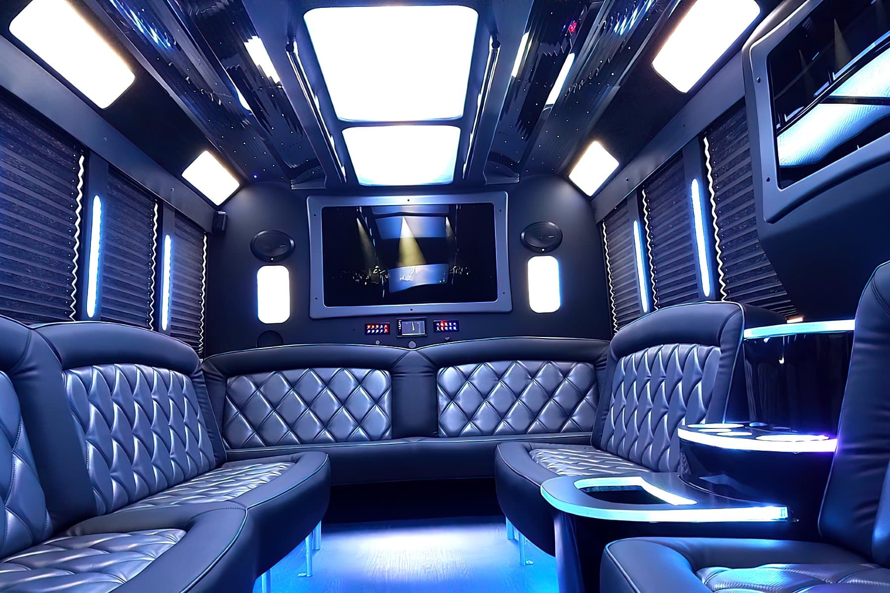20 PAX Party Bus Limo exterior 9