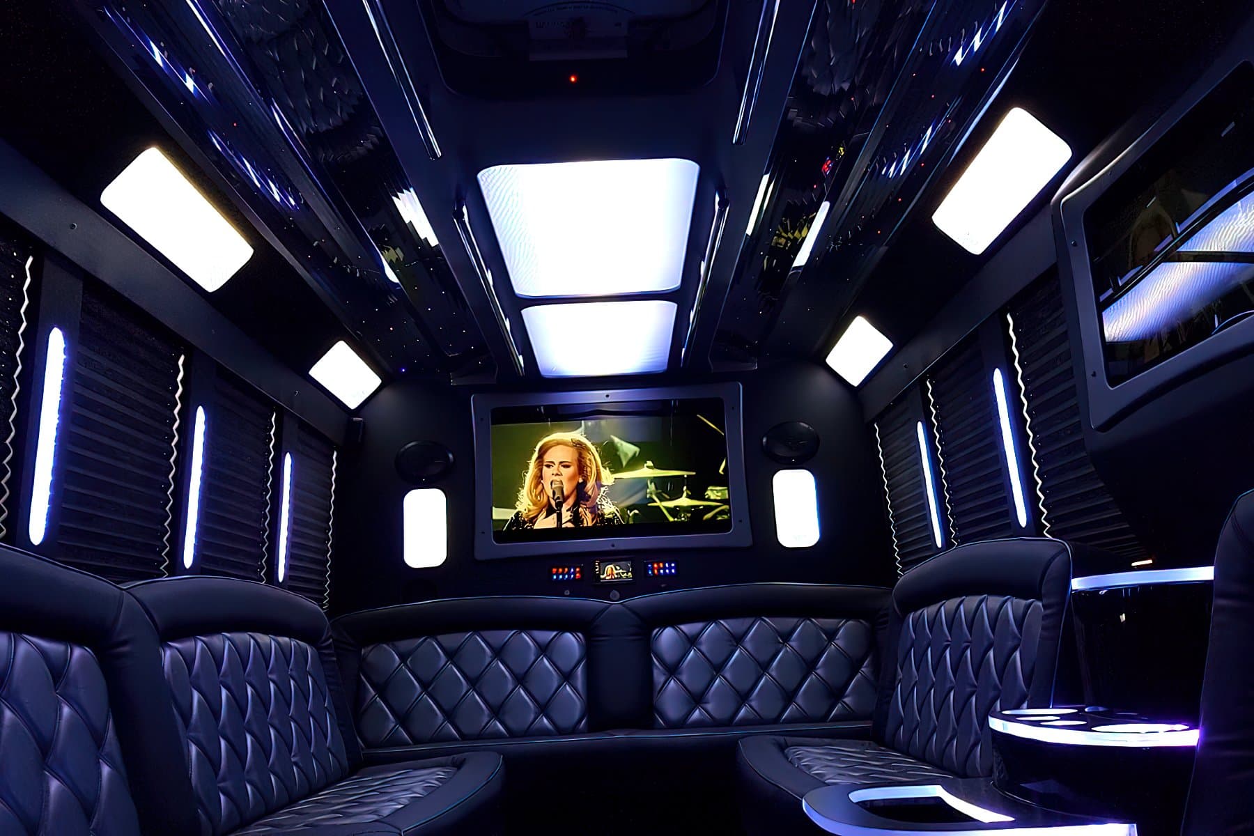 20 PAX Party Bus Limo exterior 10