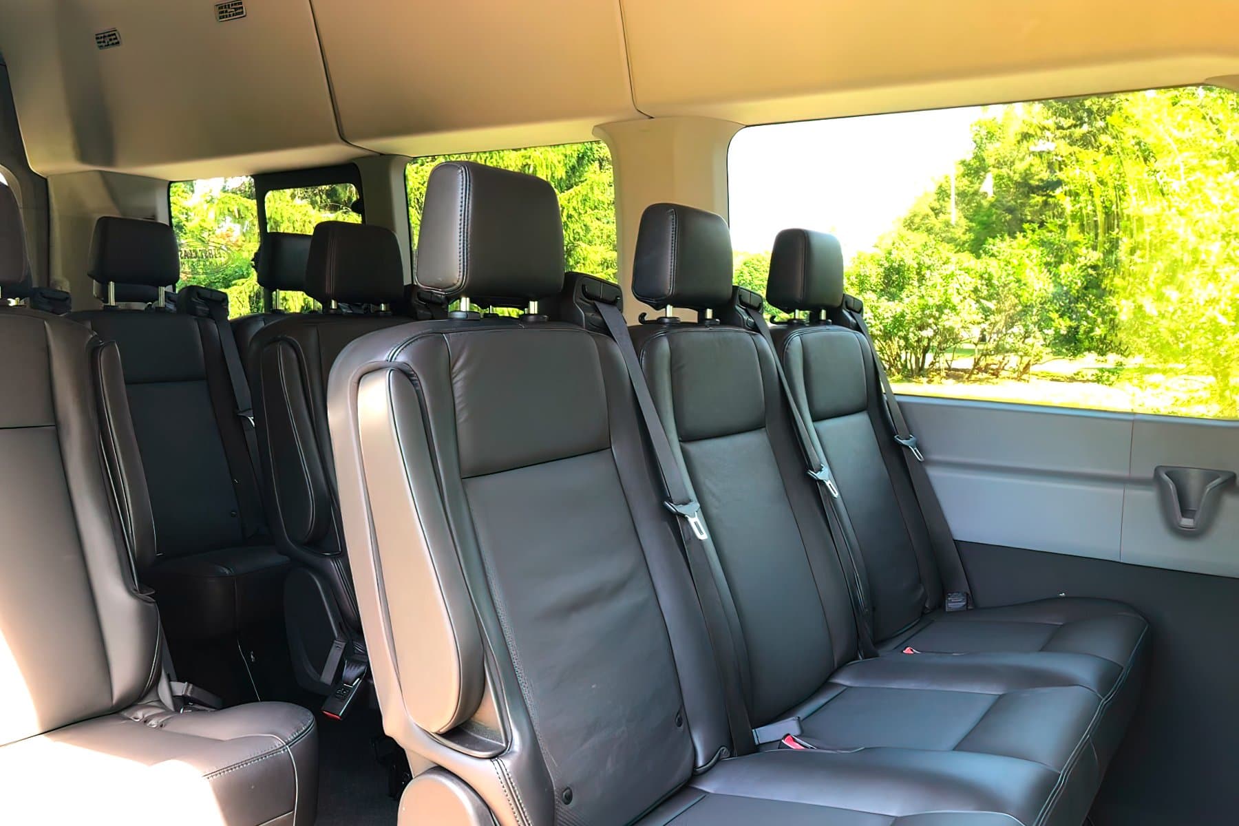 14 PAX Ford Transit Shuttle exterior 4