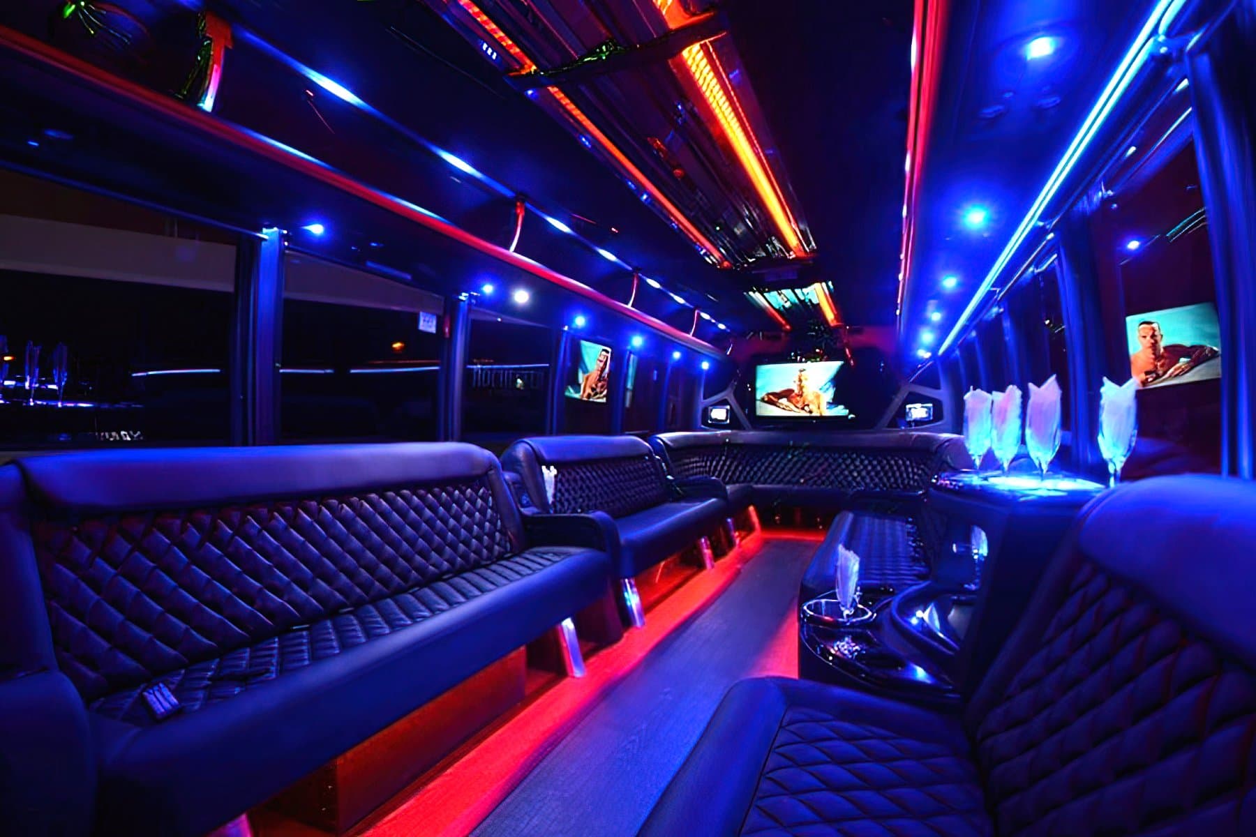 26 Passenger Party Bus - Party Bus for charter