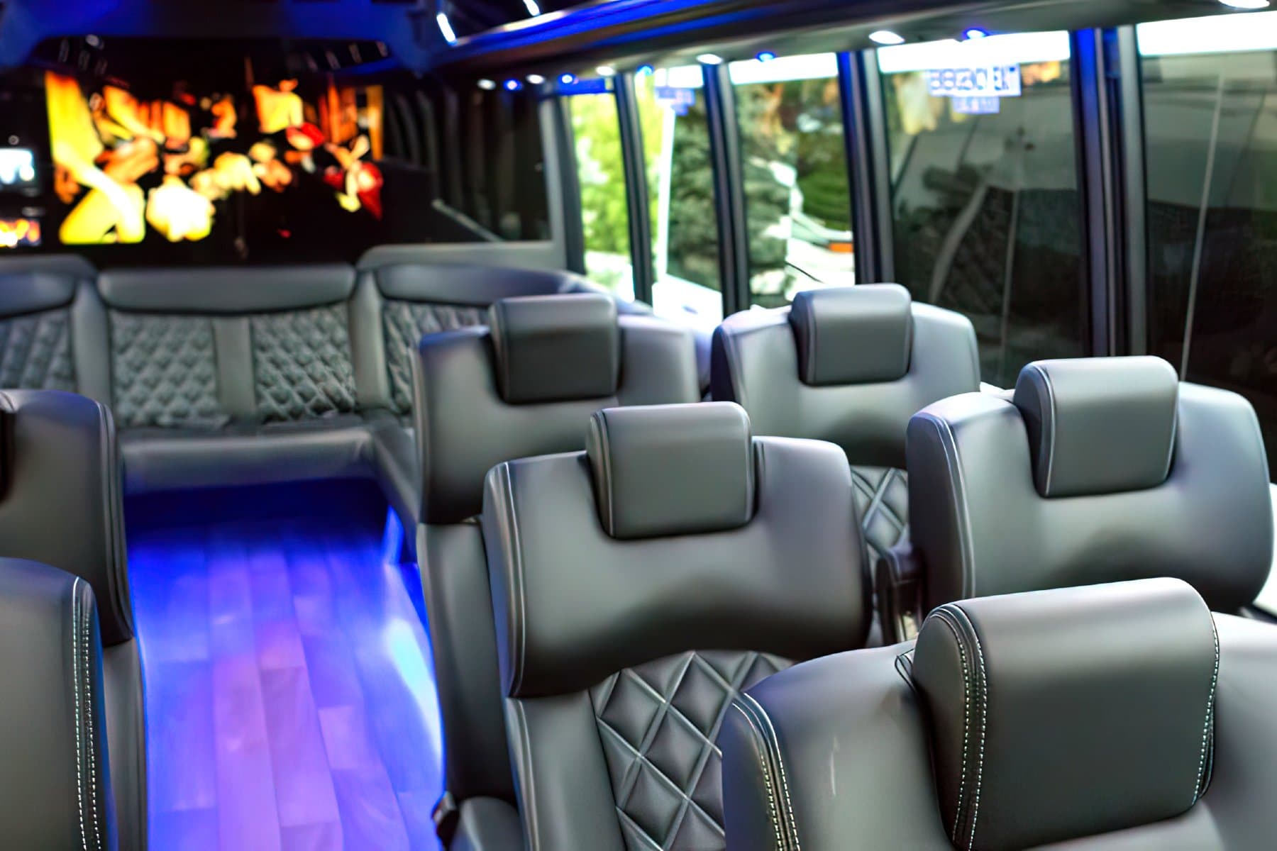 33 PAX Multi-Use Bus - Party Bus for charter