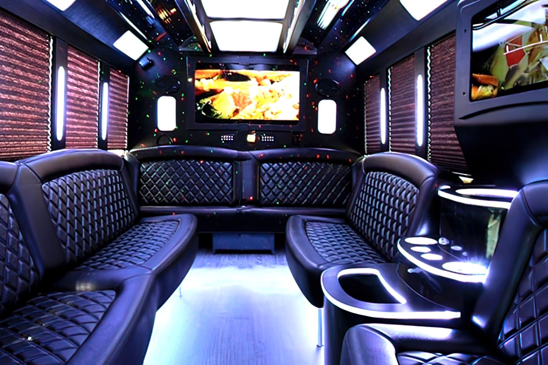 16 PAX Ford E-450 Party Bus - Party Bus for charter