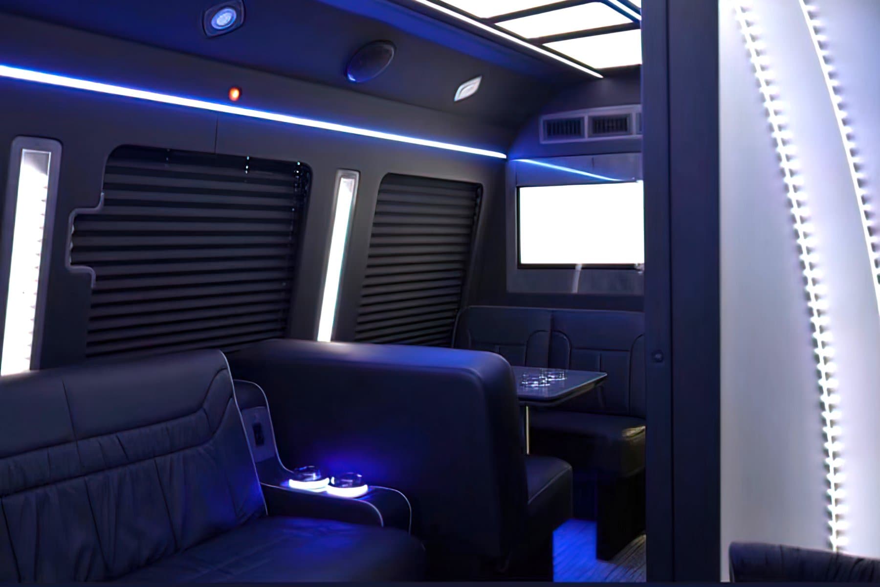 Party Bus 15 PAX exterior 5