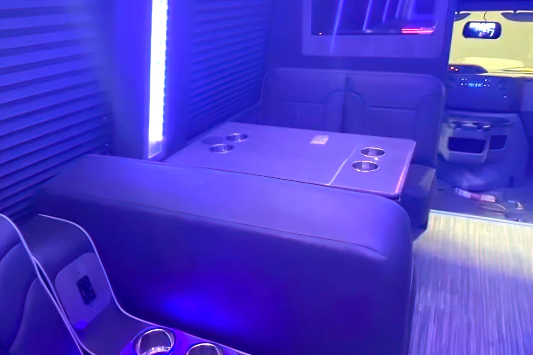 Party Bus 15 PAX exterior 7