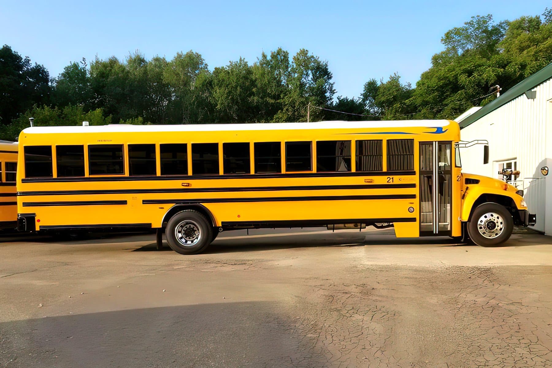 44 PAX School Bus - School Bus for charter