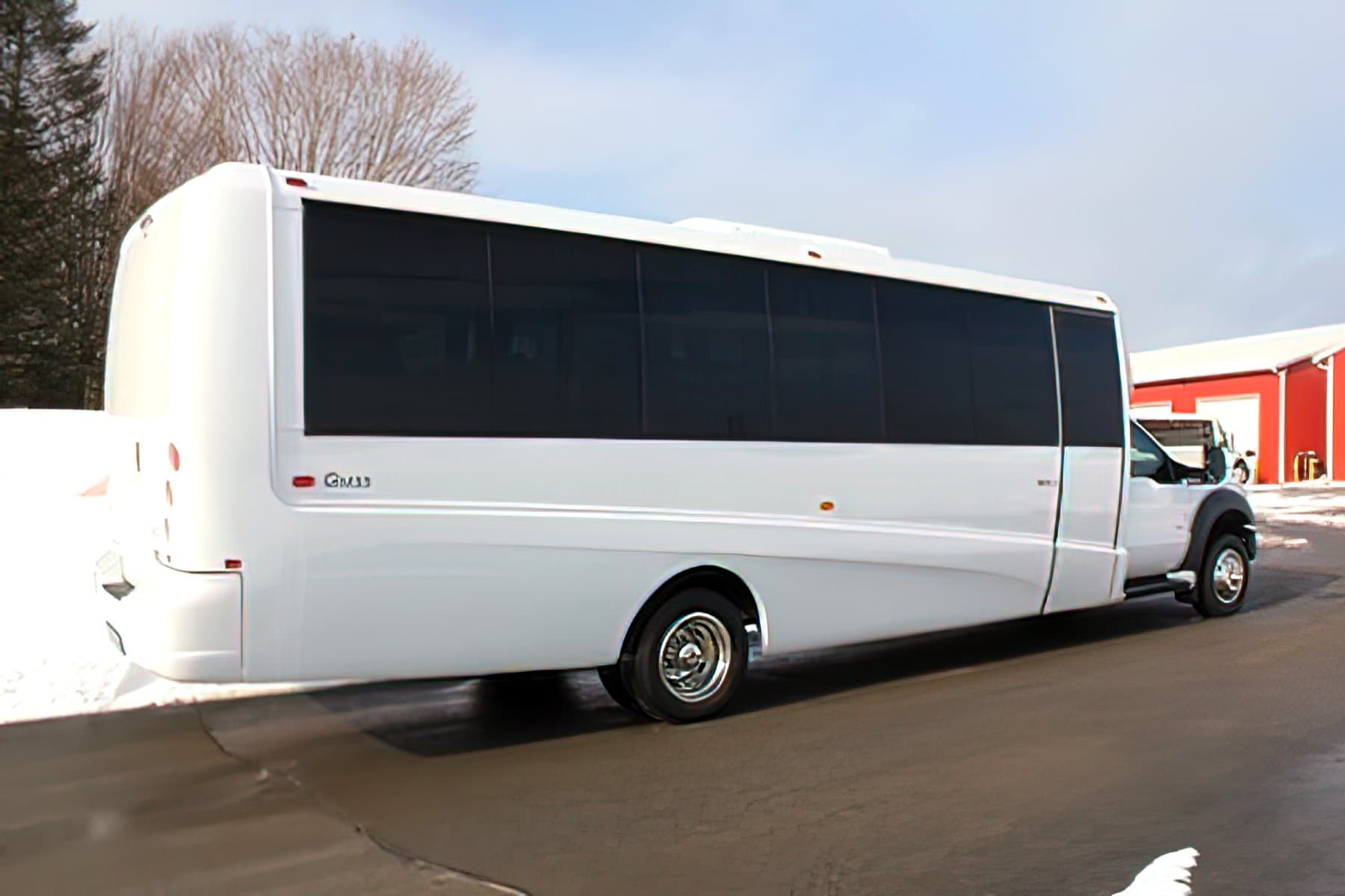 31 PASSENGER EXECUTIVE MINI COACH exterior 5