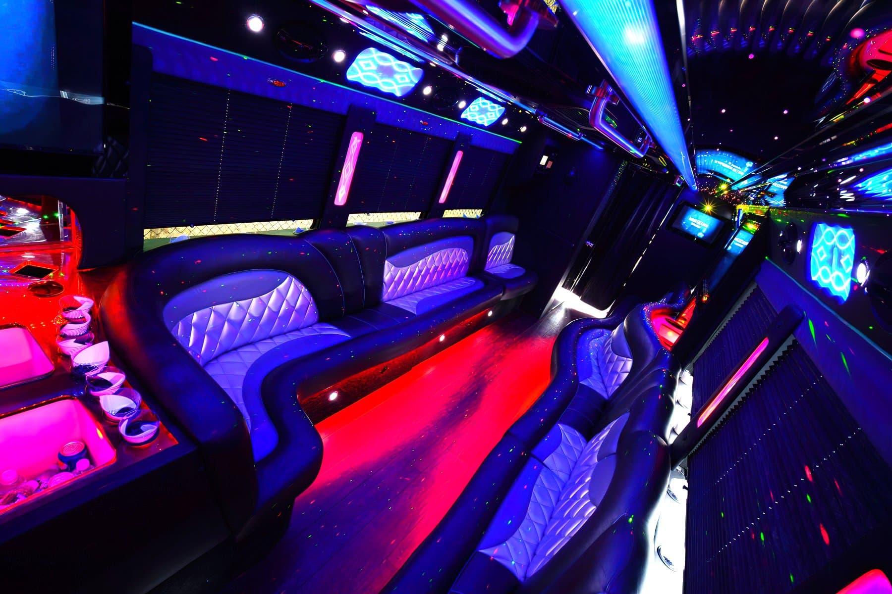 42 Passenger Party Bus exterior 5