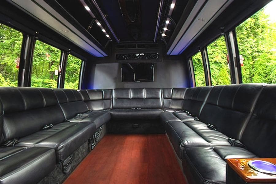 20 Passenger Limo Van